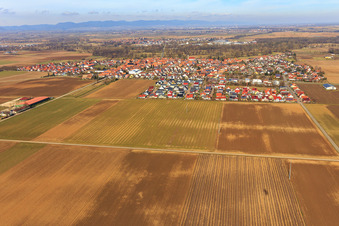 Vue aérienne de Vue du village depuis le sud à Steinweiler dans le département Rhénanie-Palatinat, Allemagne