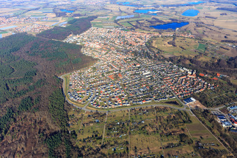 Vue aérienne de Vue d'ensemble de la ville depuis l'ouest à Jockgrim dans le département Rhénanie-Palatinat, Allemagne