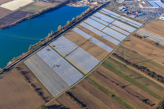 Vue aérienne de Lac en béton à le quartier Wiesental in Waghäusel dans le département Bade-Wurtemberg, Allemagne