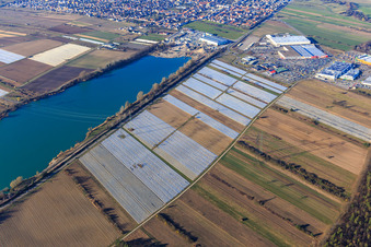 Vue aérienne de Lac en béton avec centrale à béton Fehr Technologies à le quartier Wiesental in Waghäusel dans le département Bade-Wurtemberg, Allemagne