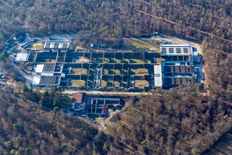 Vue aérienne de Zone d'entraînement et zone d'entraînement du stand de tir Philippsburg à Philippsburg dans le département Bade-Wurtemberg, Allemagne