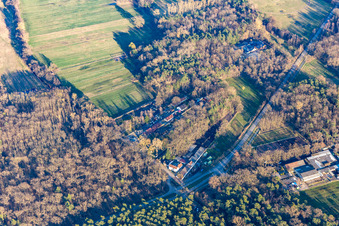 Vue aérienne de Haßloch dans le département Rhénanie-Palatinat, Allemagne