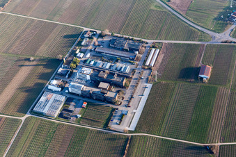 Vue aérienne de RLP Agroscience à le quartier Mußbach in Neustadt an der Weinstraße dans le département Rhénanie-Palatinat, Allemagne
