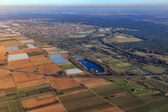 Vue aérienne de Vue sur la ville et Mußbacher Baggerweiher au-delà de l'A65 à Haßloch dans le département Rhénanie-Palatinat, Allemagne