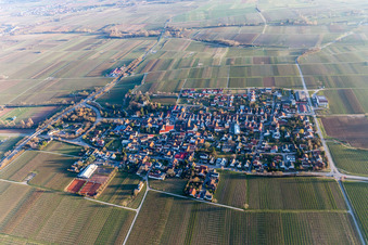 Vue aérienne de Champs agricoles et terres agricoles à Walsheim dans le département Rhénanie-Palatinat, Allemagne