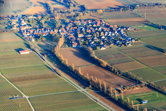 Vue aérienne de Vue du village depuis l'ouest à Knöringen dans le département Rhénanie-Palatinat, Allemagne