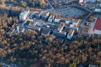 Landau in der Pfalz dans le département Rhénanie-Palatinat, Allemagne depuis l'avion