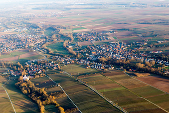 Vue aérienne de Quartier Billigheim in Billigheim-Ingenheim dans le département Rhénanie-Palatinat, Allemagne