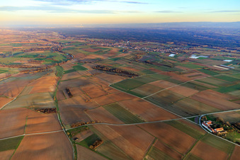 Vue aérienne de Otterbachtal le soir avec vue sur le Bienwald et vers l'est à Kapsweyer dans le département Rhénanie-Palatinat, Allemagne
