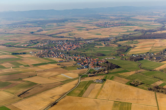 Vue aérienne de Champs agricoles et terres agricoles à Hoffen dans le département Bas Rhin, France