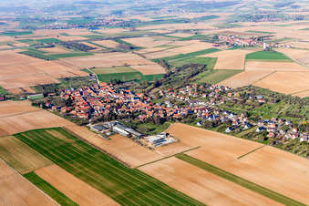 Vue aérienne de Champs agricoles et terres agricoles à Melsheim dans le département Bas Rhin, France