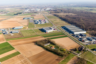 Photographie aérienne de Mommenheim dans le département Bas Rhin, France
