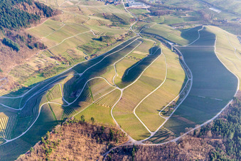 Vue aérienne de Paysage viticole des régions viticoles du Bade à Kappelrodeck dans le département Bade-Wurtemberg, Allemagne