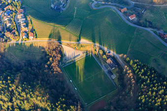 Vue aérienne de Terrain de sport Sasbachwalden entre forêt et vignes du club sportif Sasbachwalden à le quartier Büchelbach in Sasbachwalden dans le département Bade-Wurtemberg, Allemagne