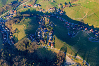 Vue aérienne de Am Ruttersrain, un quartier entre les vignobles badois à le quartier Büchelbach in Sasbachwalden dans le département Bade-Wurtemberg, Allemagne