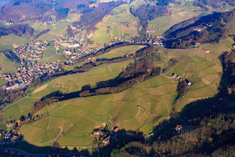 Vue aérienne de Vignobles badois dans l'Achertal à le quartier Büchelbach in Sasbachwalden dans le département Bade-Wurtemberg, Allemagne