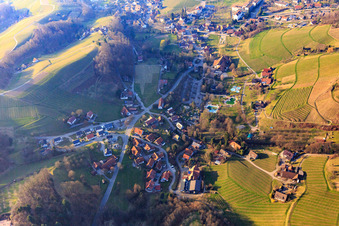 Vue aérienne de Aperçu du village entre les vignobles de Bade de l'ouest avec piscine d'aventure en plein air Sasbachwalden à Sasbachwalden dans le département Bade-Wurtemberg, Allemagne