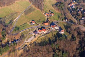 Vue aérienne de Wilderer Stube / Appartements / Pelouse avec vue panoramique et Bischenberg Inn - Dominique Petermann à Sasbachwalden dans le département Bade-Wurtemberg, Allemagne