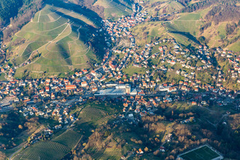 Vue aérienne de Robert Bosch GmbH Usine Bühlertal à le quartier Untertal in Bühlertal dans le département Bade-Wurtemberg, Allemagne