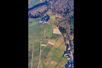 Vue aérienne de Domaine viticole de Nägelsförst à le quartier Varnhalt in Baden-Baden dans le département Bade-Wurtemberg, Allemagne