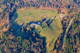Vue aérienne de Domaine du monastère de Fremersberg, taverne du monastère à Sinzheim dans le département Bade-Wurtemberg, Allemagne