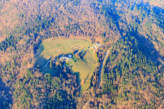 Vue aérienne de Domaine du monastère de Fremersberg, taverne du monastère à Sinzheim dans le département Bade-Wurtemberg, Allemagne