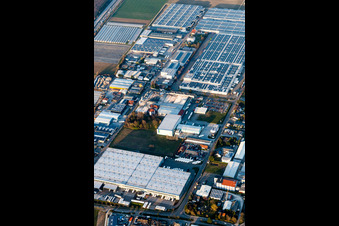 Vue aérienne de Zone industrielle et commerciale sur l'A5 avec IHLE tires GmbH à Muggensturm dans le département Bade-Wurtemberg, Allemagne