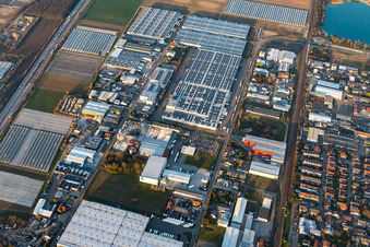 Vue aérienne de Zone industrielle de Draisstr à Muggensturm dans le département Bade-Wurtemberg, Allemagne