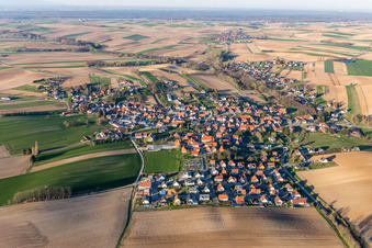 Vue aérienne de Champs agricoles et terres agricoles à Trimbach dans le département Bas Rhin, France