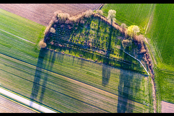 Vue aérienne de Ancien cimetière juif de Trimbach à Trimbach dans le département Bas Rhin, France