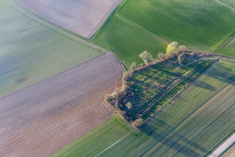 Vue aérienne de Ancien cimetière juif à Trimbach dans le département Bas Rhin, France