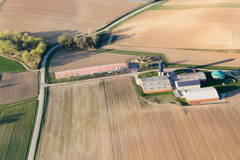Vue aérienne de Trimbach dans le département Bas Rhin, France