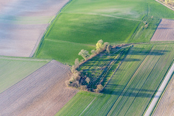 Vue aérienne de Ancien cimetière juif à Trimbach dans le département Bas Rhin, France