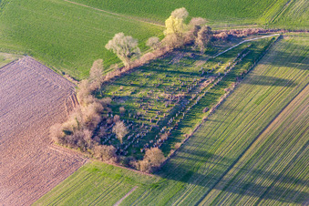 Photographie aérienne de Ancien cimetière juif à Trimbach dans le département Bas Rhin, France
