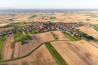 Vue aérienne de Champs agricoles et terres agricoles à Oberlauterbach dans le département Bas Rhin, France