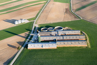 Oberlauterbach dans le département Bas Rhin, France vu d'un drone