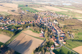 Photographie aérienne de Neewiller-près-Lauterbourg dans le département Bas Rhin, France