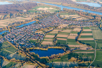 Vue aérienne de Les rives du Rhin à Neuburg am Rhein dans le département Rhénanie-Palatinat, Allemagne