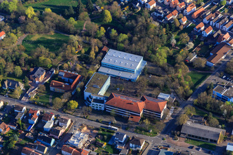 Vue aérienne de Realschule plus au Spiegelbachpark avec Spiegelbachhalle à Bellheim dans le département Rhénanie-Palatinat, Allemagne