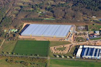 Vue aérienne de Chantier de construction du hall logistique pour Continental Reifen GmbH et FIEGE Logistik à Bellheim dans le département Rhénanie-Palatinat, Allemagne