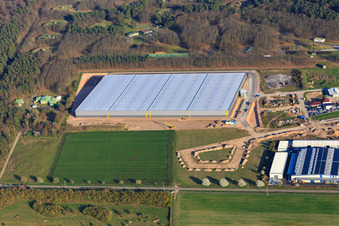 Vue aérienne de Chantier de construction du hall logistique pour Continental Reifen GmbH et FIEGE Logistik à Bellheim dans le département Rhénanie-Palatinat, Allemagne