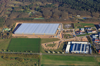 Photographie aérienne de Chantier de construction du hall logistique pour Continental Reifen GmbH et FIEGE Logistik à Bellheim dans le département Rhénanie-Palatinat, Allemagne