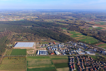 Vue aérienne de Zone industrielle de Waldstückerring avec chantier de construction du hall logistique pour Continental Reifen GmbH et FIEGE Logistik à Bellheim dans le département Rhénanie-Palatinat, Allemagne