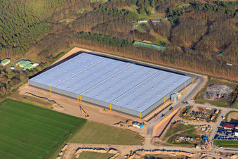 Vue aérienne de Zone industrielle de Waldstückerring avec chantier de construction du hall logistique pour Continental Reifen GmbH et FIEGE Logistik à Bellheim dans le département Rhénanie-Palatinat, Allemagne