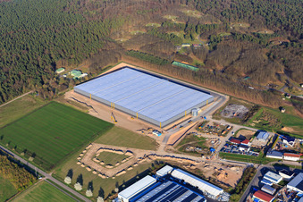 Vue oblique de Zone industrielle de Waldstückerring avec chantier de construction du hall logistique pour Continental Reifen GmbH et FIEGE Logistik à Bellheim dans le département Rhénanie-Palatinat, Allemagne