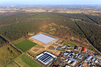 Zone industrielle de Waldstückerring avec chantier de construction du hall logistique pour Continental Reifen GmbH et FIEGE Logistik à Bellheim dans le département Rhénanie-Palatinat, Allemagne d'en haut