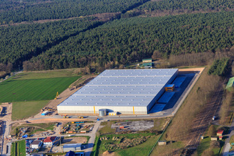 Zone industrielle de Waldstückerring avec chantier de construction du hall logistique pour Continental Reifen GmbH et FIEGE Logistik à Bellheim dans le département Rhénanie-Palatinat, Allemagne depuis l'avion