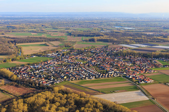 Vue aérienne de Vue du village dans les prairies du Rhin depuis le nord-ouest à Hördt dans le département Rhénanie-Palatinat, Allemagne