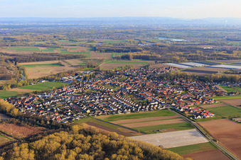 Vue aérienne de Vue du village dans les prairies du Rhin depuis le nord-ouest à Hördt dans le département Rhénanie-Palatinat, Allemagne