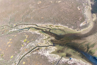 Vue aérienne de Paysage d'eau saumâtre sur Isola Marinetta à Lido di Grado à Lignano Sabbiadoro à Lignano Sabbiadoro dans le département Udine, Italie